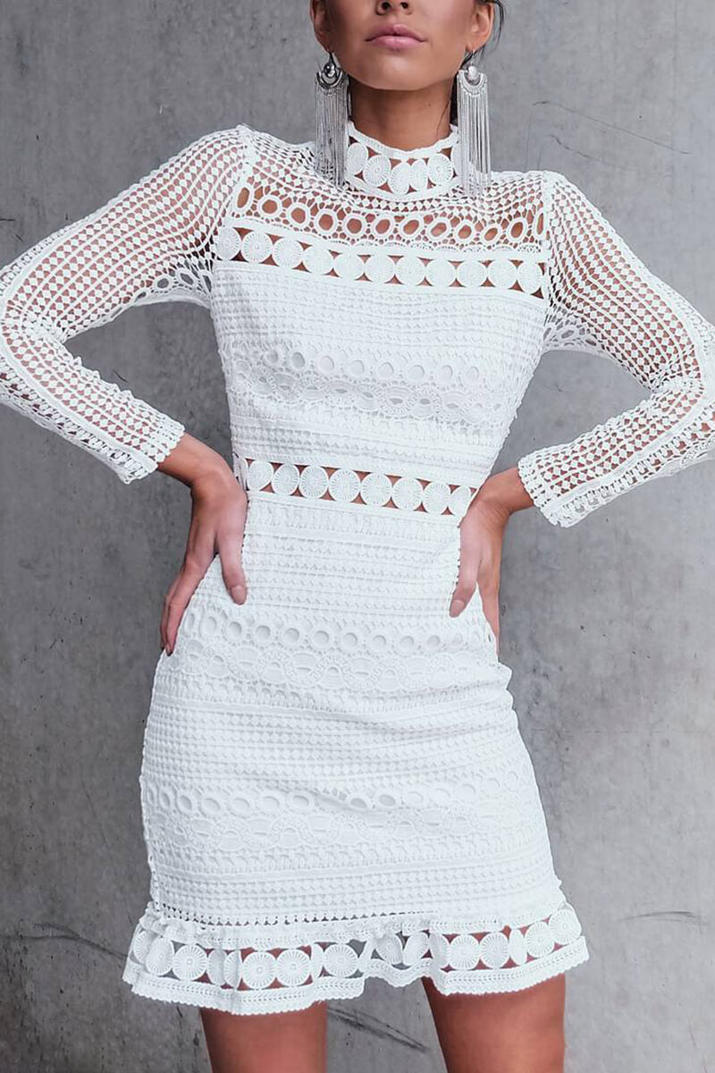 Long Sleeve Fitted Lace Dress for Elegant Occasions
