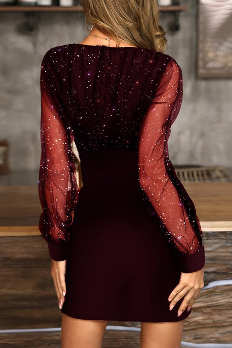 Shiny and Sheer Lucy Short Dress for Elegant Style
